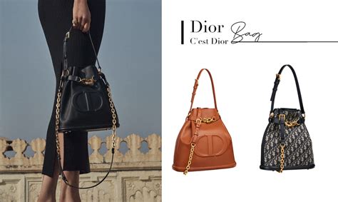 c'est Dior bag